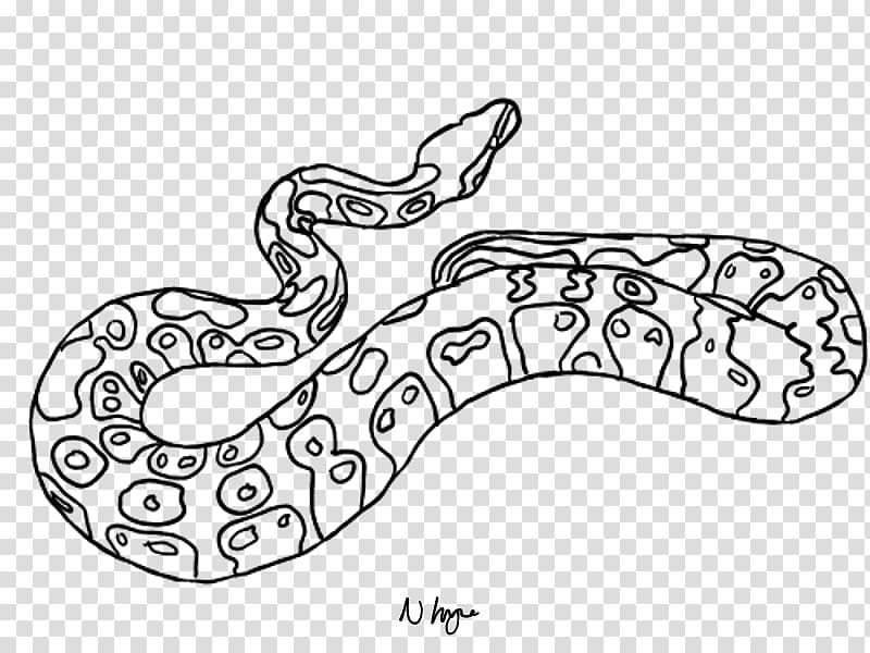 Line art Drawing Serpent , ball python transparent background PNG clipart