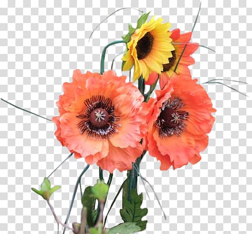 Cut flowers Floral design Transvaal daisy Flower bouquet, flower transparent background PNG clipart