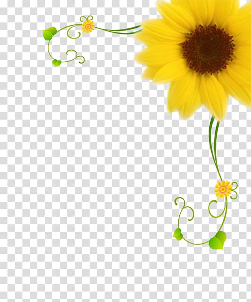 Common sunflower Motif Pattern, sunflower transparent background PNG clipart