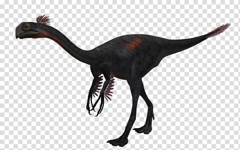 Gigantoraptor Citipati Oviraptorosauria Velociraptor Dinosaur, Gigantoraptor transparent background PNG clipart