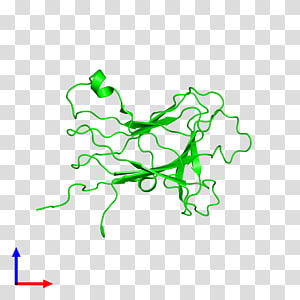 Leaf Line Point , Leaf transparent background PNG clipart thumbnail