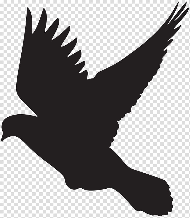 Columbidae Silhouette Drawing Dove , DOVES transparent background PNG clipart