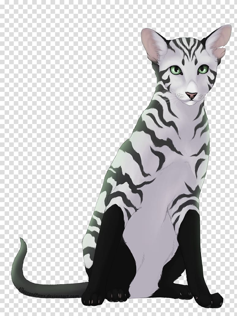 Domestic short-haired cat American Shorthair Toyger European shorthair Egyptian Mau, ferret drawings oc transparent background PNG clipart