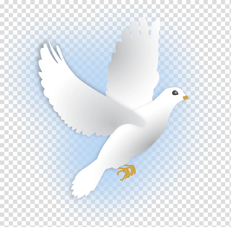 Water bird European Herring Gull Gulls Columbidae, Dove transparent background PNG clipart