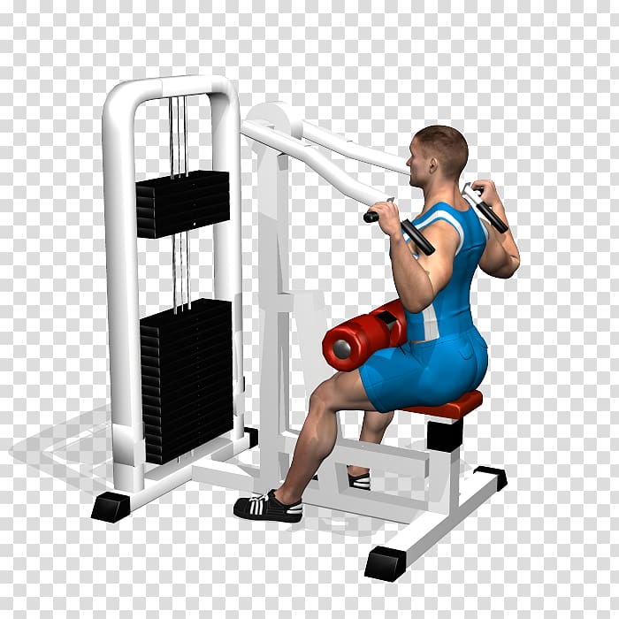 Pulldown exercise Shoulder Fitness Centre Human back Latissimus dorsi muscle, dumbbell transparent background PNG clipart