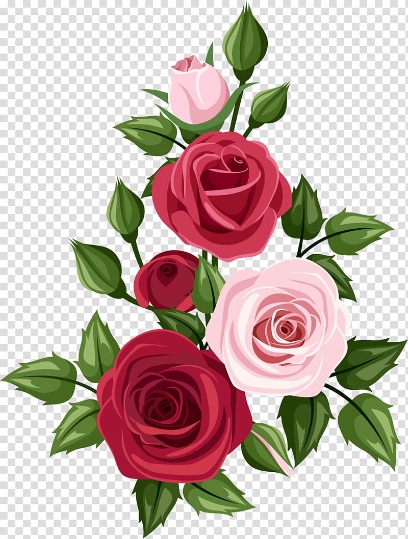  Rose  Art Drawing rose  transparent  background PNG clipart 
