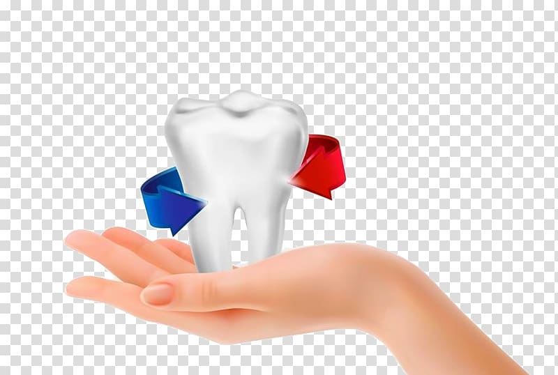 TRu0130ADENT Au011eIZ VE Du0130u015e SAu011eLIu011eI POLu0130KLu0130Nu0130u011eu0130 Dentist Human tooth Therapy, Hands teeth transparent background PNG clipart