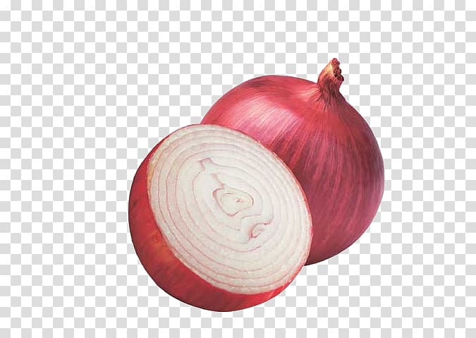 Onion Hair loss Botak Hair care, Purple Onion Vegetable transparent background PNG clipart
