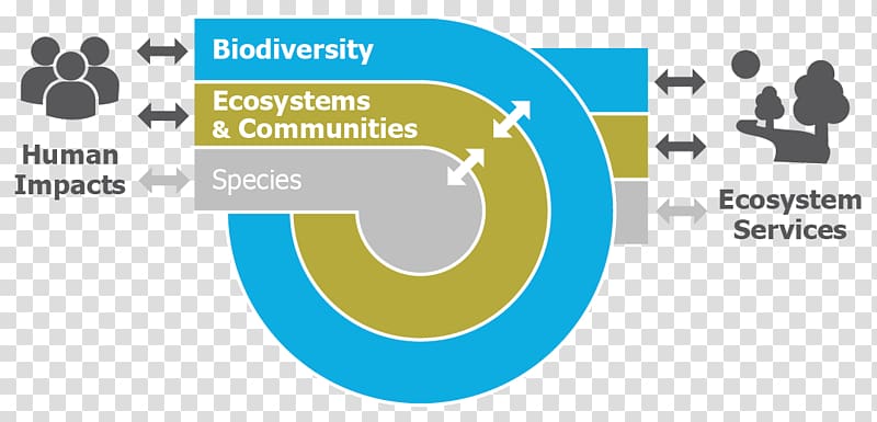 Leiden University Biodiversity Science Ecology Biology, science transparent background PNG clipart