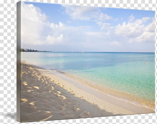 Caribbean Sea Beach Coast Ocean, sea transparent background PNG clipart