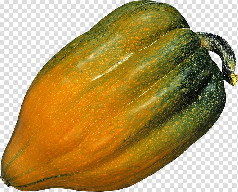 Zucchini Cucurbita maxima Winter squash Butternut squash Acorn squash, Pumpkin transparent background PNG clipart