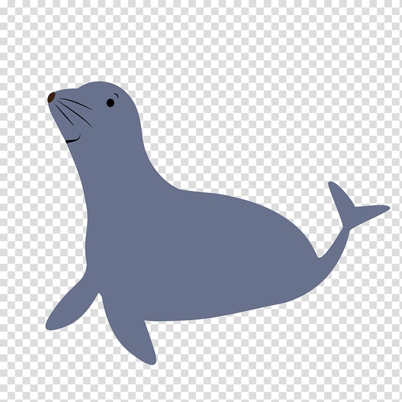 Tucuxi Sea lion Dolphin Wildlife Beak, dolphin transparent background PNG clipart