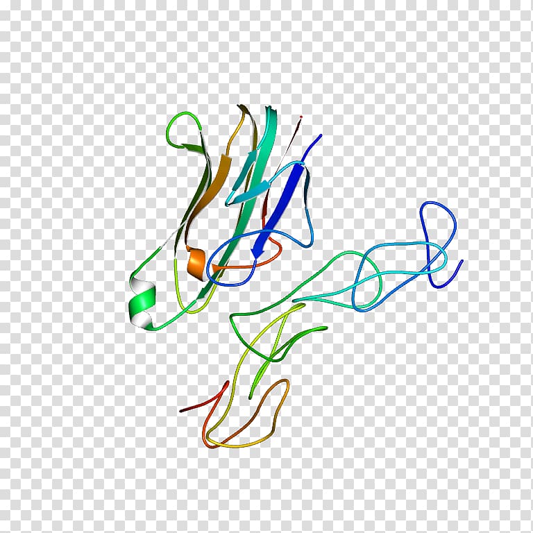 Graphic design , design transparent background PNG clipart