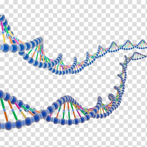 DNA illustration, ENCODE DNA Molecular biology Nucleic acid double helix Research, Two chain gene transparent background PNG clipart