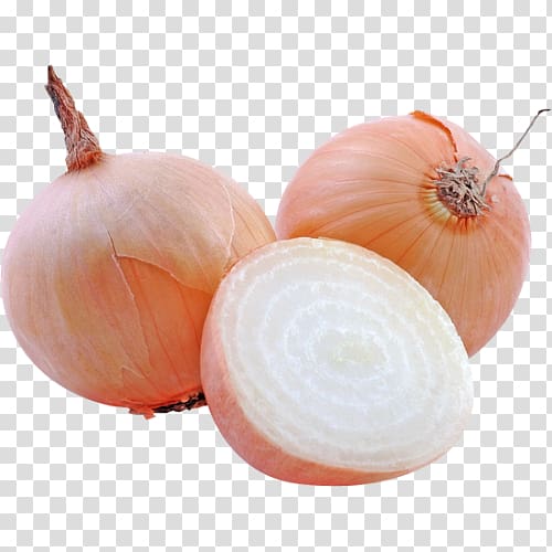 Yellow onion Shallot Pierogi Stuffing Red onion, vegetable transparent background PNG clipart