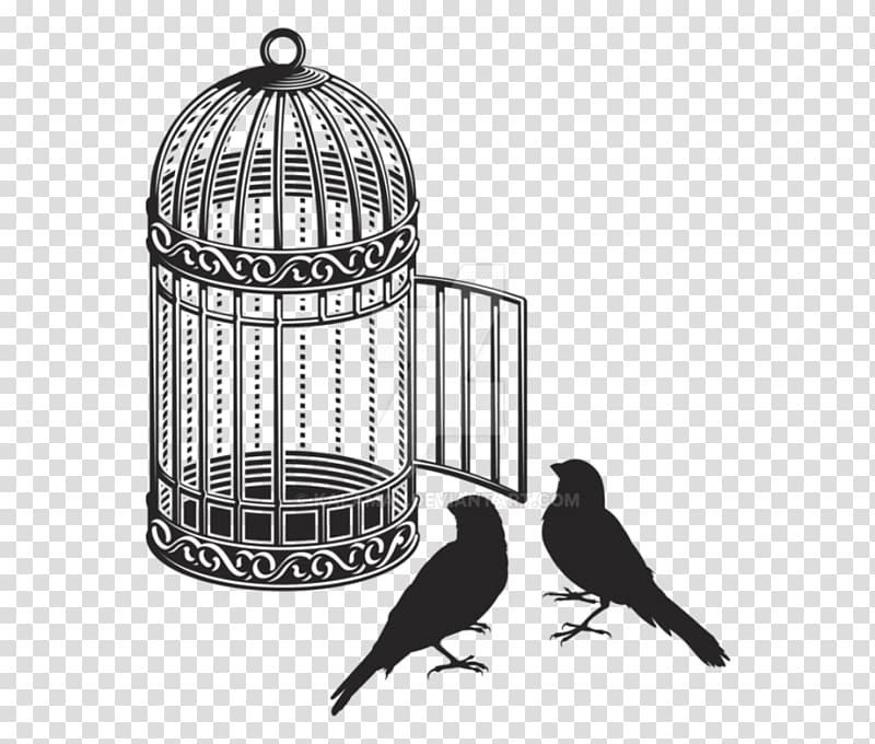 Birdcage Cockatiel graphics, Bird transparent background PNG clipart