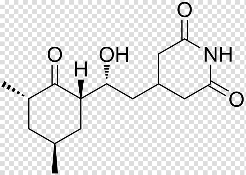 Chemical substance Cycloheximide Fluorouracil Thymine, Mupirocin transparent background PNG clipart