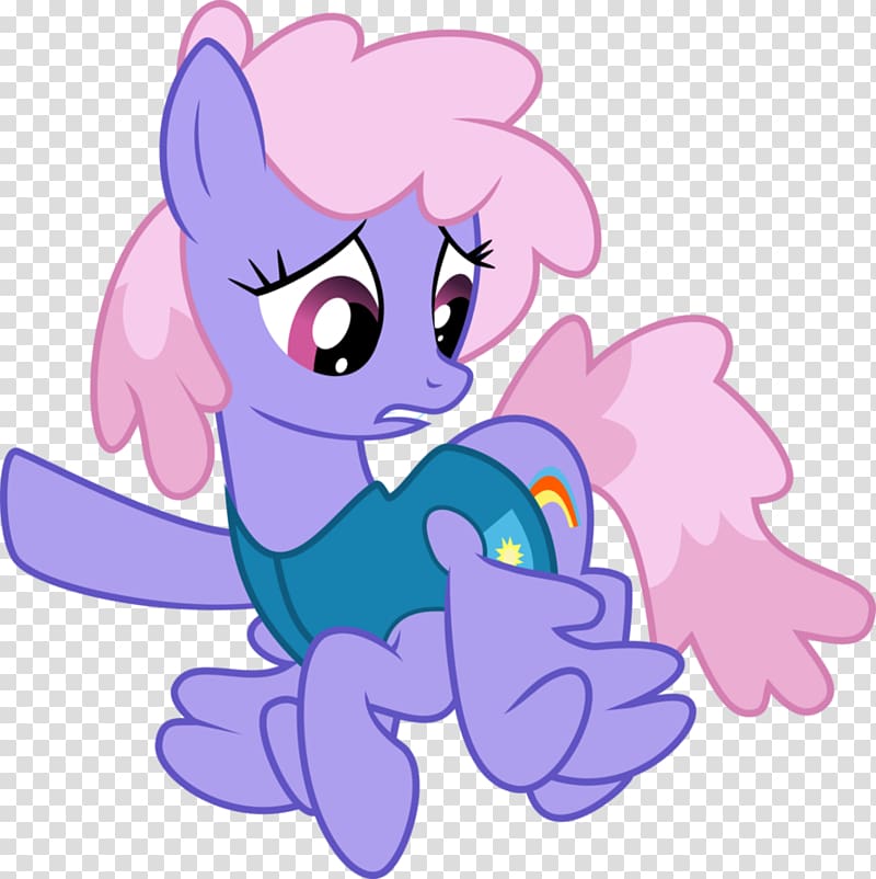 Pony Ponies Rainbow Shops Winter Wrap Up, mlp cloudchaser transparent background PNG clipart