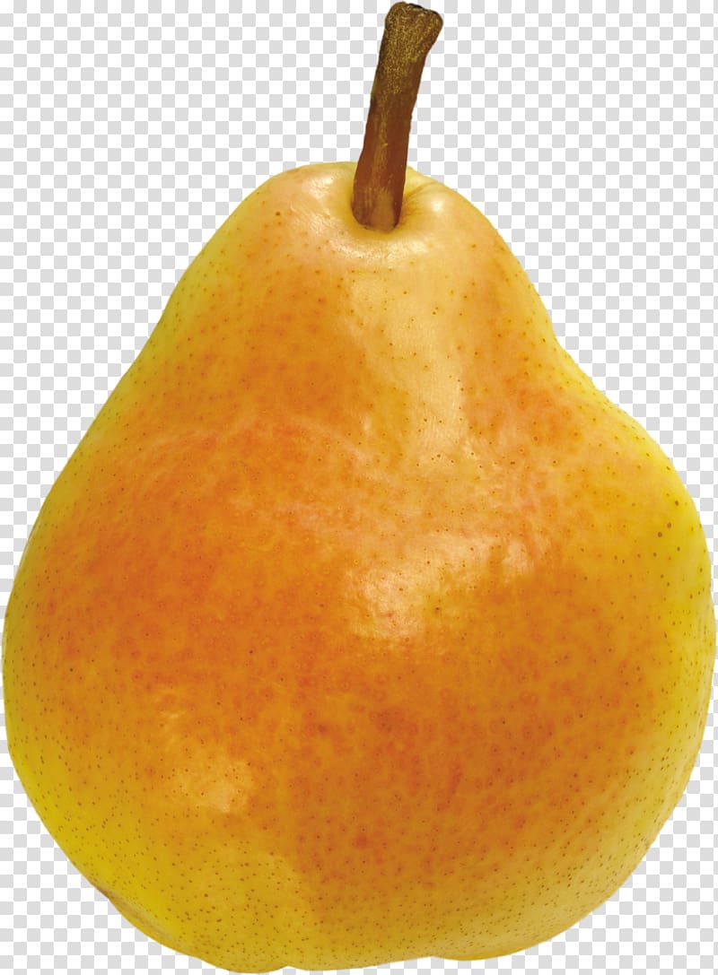 Pear Fruit salad Computer file, Ripe pear transparent background PNG clipart
