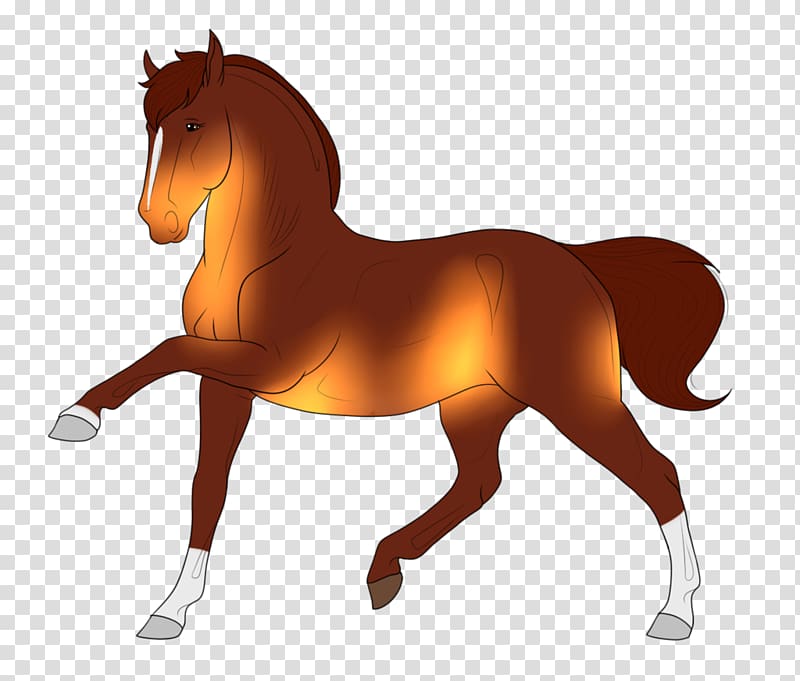 Stallion Foal Pony Mare Colt, luminescent transparent background PNG clipart