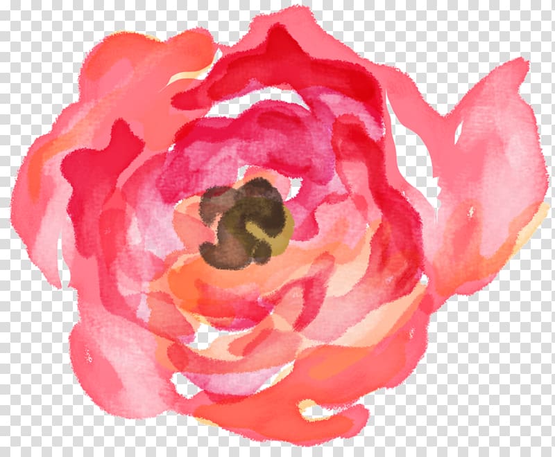 Garden roses Floral design Textile Flower, design transparent background PNG clipart