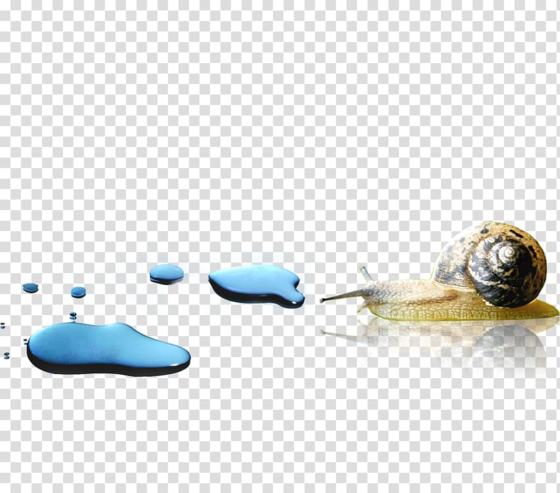 Snail Orthogastropoda Escargot, snails transparent background PNG clipart