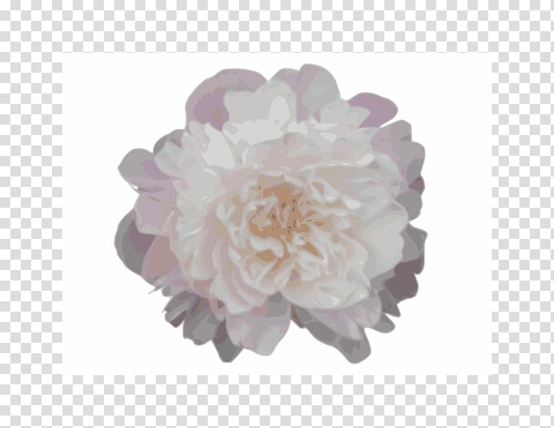 Moutan peony , Borg transparent background PNG clipart