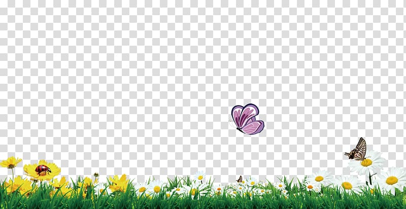 green grass flowers butterfly decorative borders transparent background PNG clipart