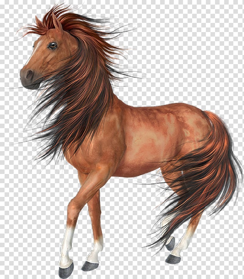 brown horse illustration, Arabian horse Akhal-Teke Black , Horses transparent background PNG clipart