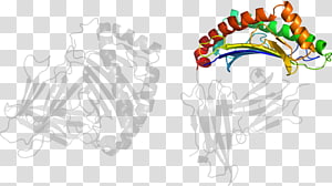 Graphic design Drawing , design transparent background PNG clipart thumbnail