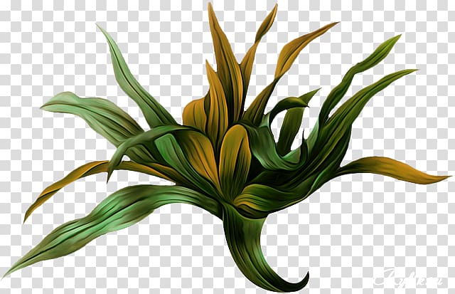 Choix des plus belles fleurs Botanical illustration Botany Picturing plants, painting transparent background PNG clipart
