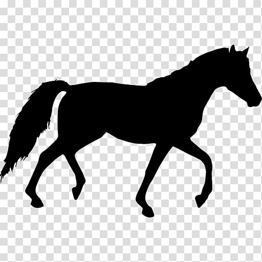 Tennessee Walking Horse Equestrian , walking horse transparent background PNG clipart