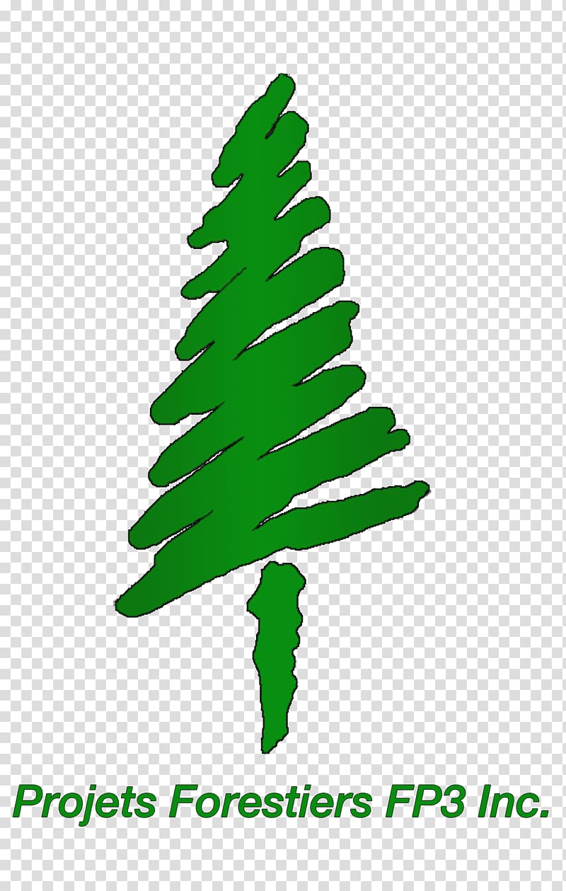 Spruce Forest Christmas tree Plant stem, forest transparent background PNG clipart