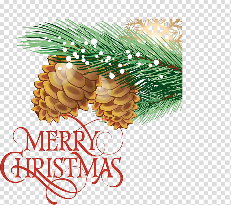 Shiny Christmas background pine nuts transparent background PNG clipart