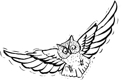 Owl Flight Bird Drawing , horned owl transparent background PNG clipart