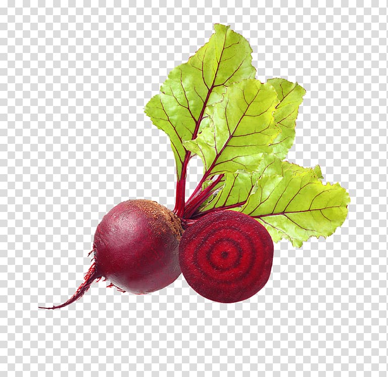 Beetroot Common beet Vegetable Food Produce, vegetable transparent background PNG clipart