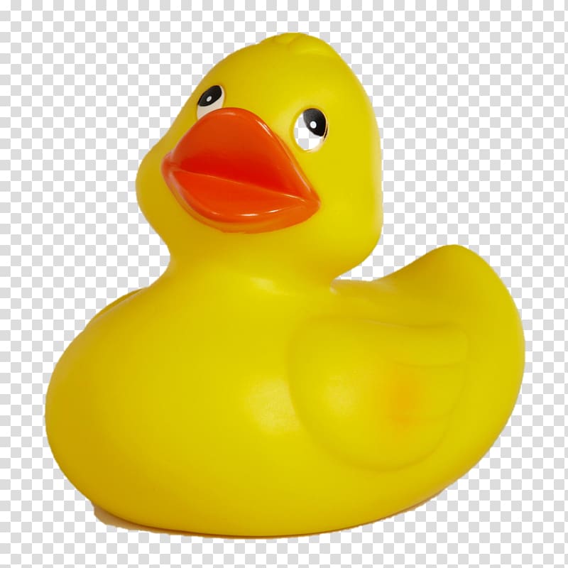 Duck Beak, rubber duck transparent background PNG clipart