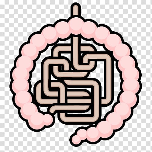 Stressor Anxiety Intestine Health, Intestines transparent background PNG clipart