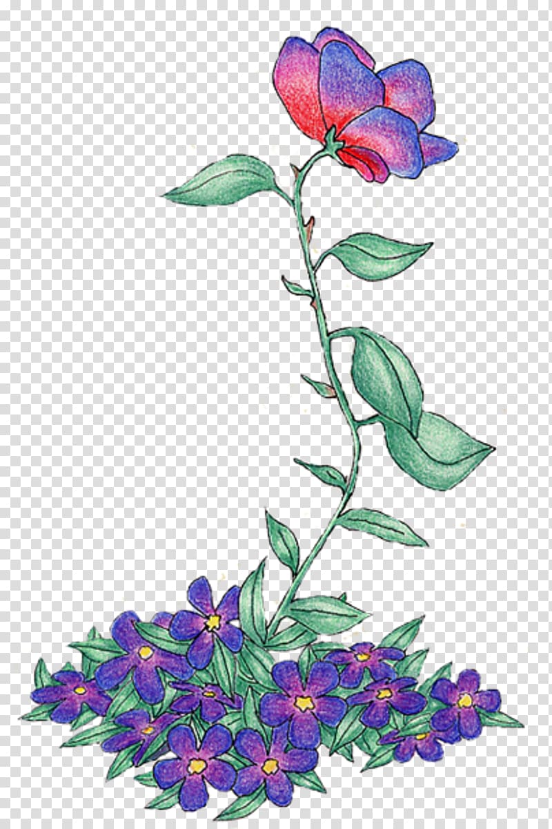 Floral design Cut flowers Violet Rose family, flower transparent background PNG clipart