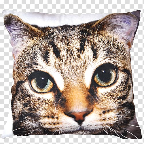 Dragon Li American Shorthair European shorthair Toyger Cushion, decorate rabbit transparent background PNG clipart