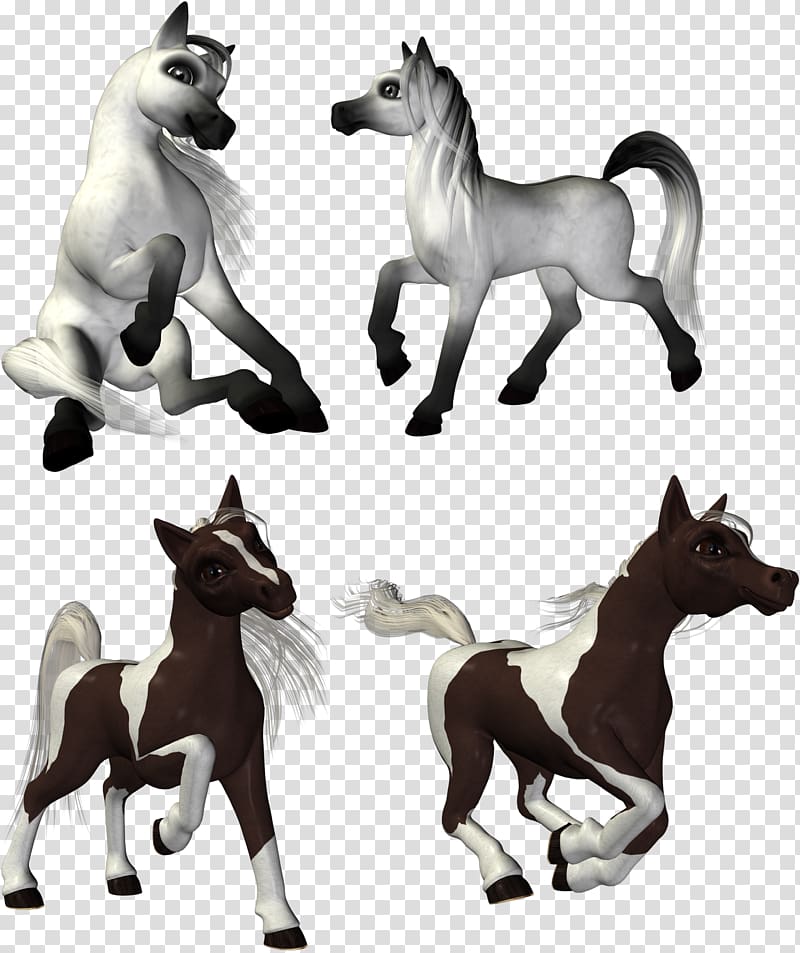 American Quarter Horse Morgan horse Andalusian horse Pony Foal, 99 transparent background PNG clipart