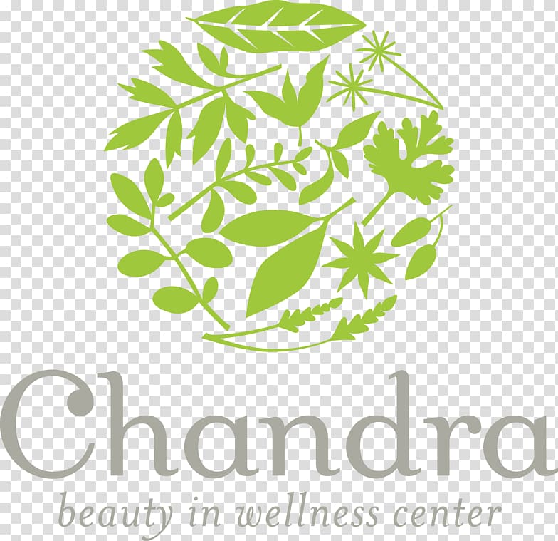 Chandra Beauty In Wellness Center Herbal Wellness Center Massage Health, Fitness and Wellness Ache, others transparent background PNG clipart