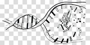Mammal Headgear Line art Technology, technology transparent background PNG clipart thumbnail