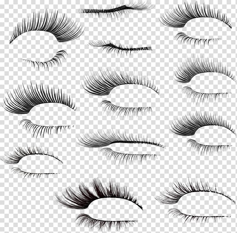 women's false lashes lot, Eyelash Brush, eyebrows transparent background PNG clipart