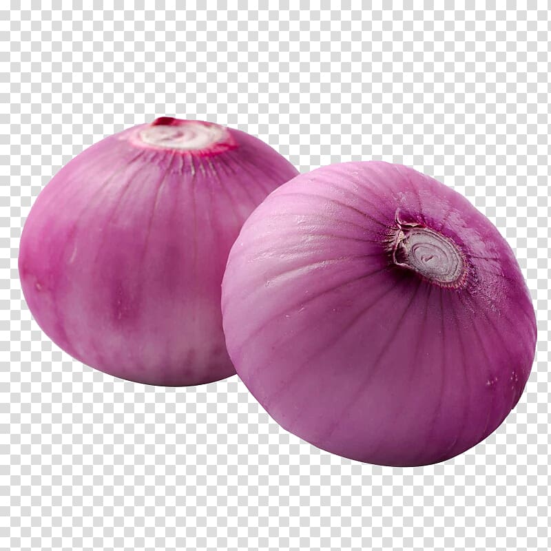Red onion Shallot Beefsteak Vegetable, onion transparent background PNG clipart