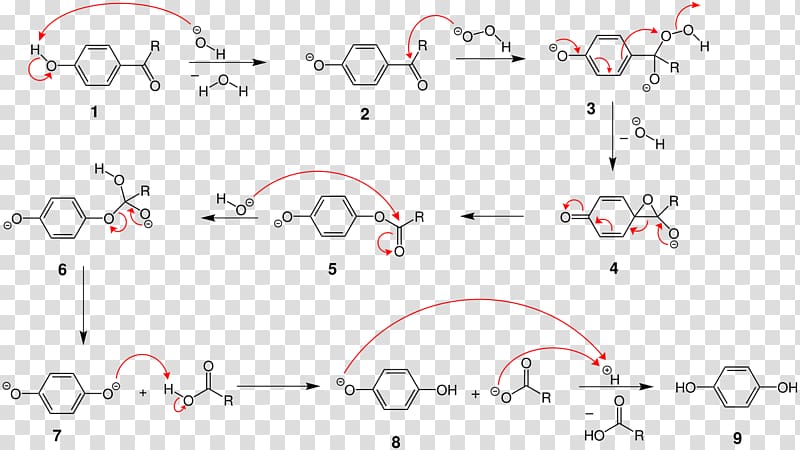 Dakin oxidation Redox Hydrogen peroxide Copper(II) sulfate Hydroquinone, Reaction Mechanism transparent background PNG clipart