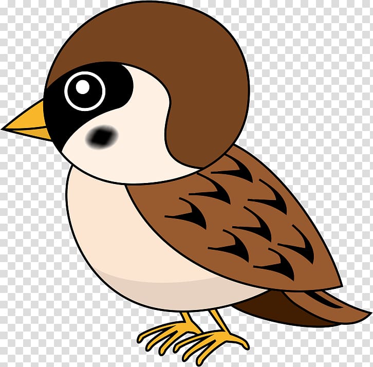 Eurasian tree sparrow Duck Bird , sparrow transparent background PNG clipart