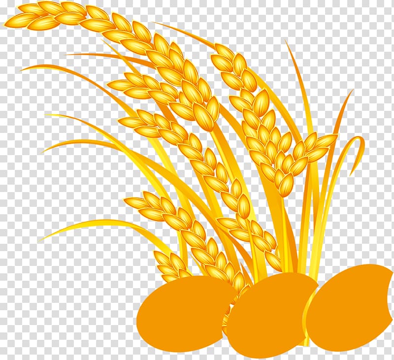 Rice Five Grains, Yellow rice, Taobao material, Valley transparent background PNG clipart