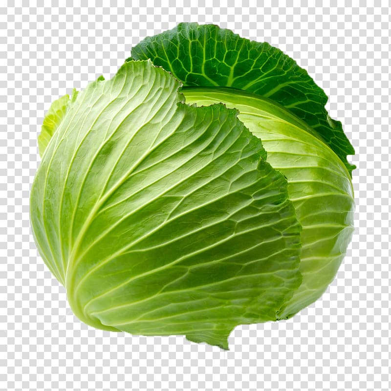 Cabbage Leaf vegetable Blanching, Green cabbage vegetable transparent background PNG clipart