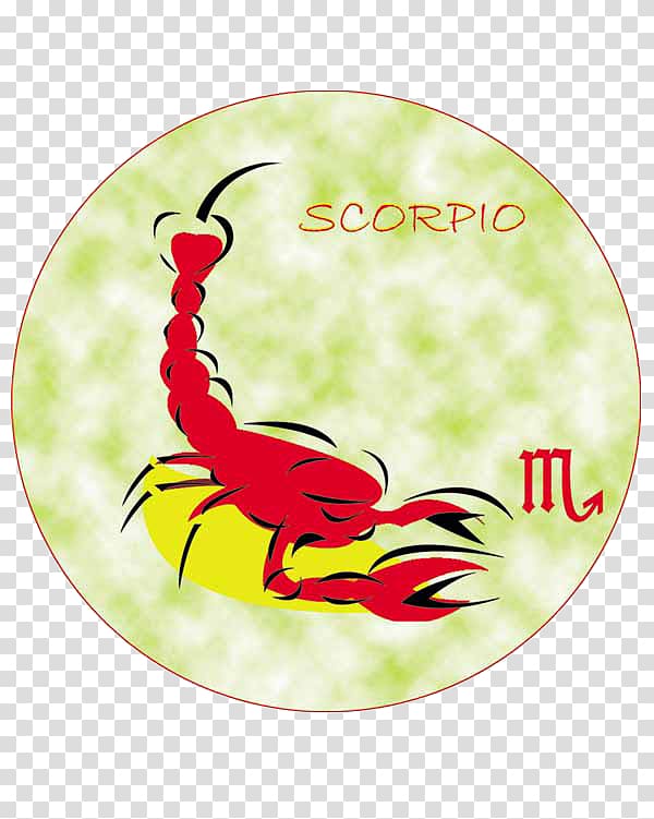 Scorpion Constellation Zodiac Scorpius, home decoration materials transparent background PNG clipart